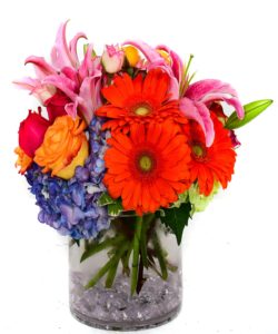 Orange roses, pink Gerbera daisies, blue hydrangea and more are nestled together to create this eye catching design.