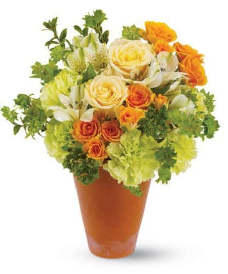 In the gardens of Avon, creamy peach roses mingle with pretty green and white blossoms along the rambling cottage paths. Revisit the charm of the English countryside with this lovely bouquet of mixed blossoms in a terra-cotta pot, and touch someone’s heart.