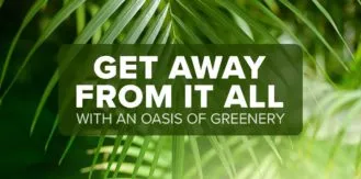 FM4-Bold—Green-Oasis—Blog