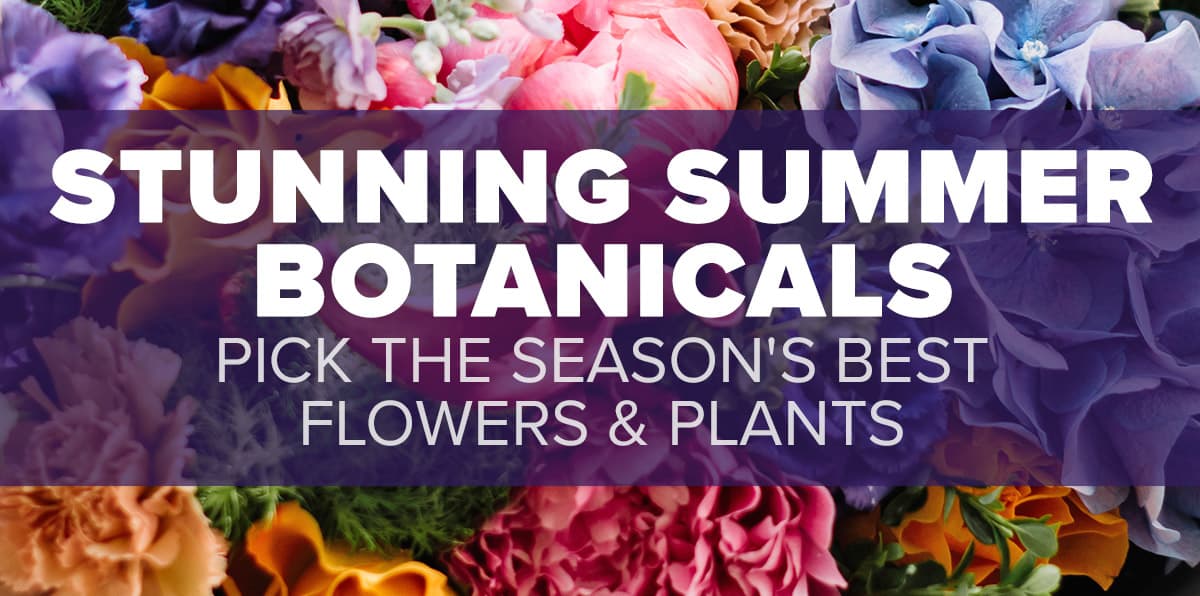 Bring Joy to Your Home with Blooming Botanicals of Summer Mancuso's Florist Blog
