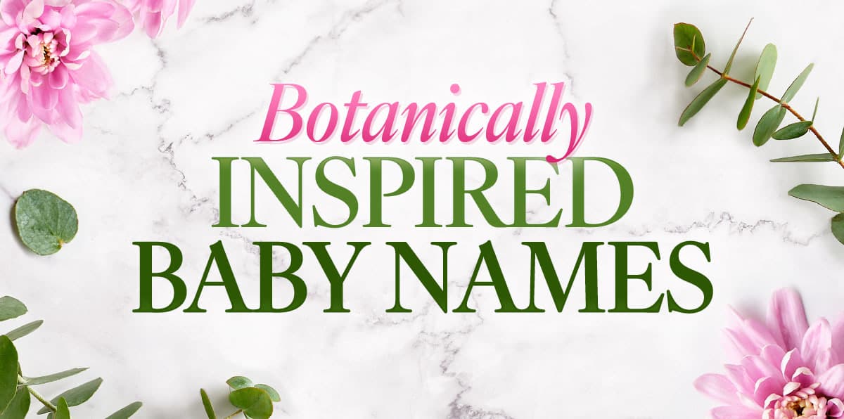 Lovely Botanical Names for Your Baby and Furry Friend Mancuso's