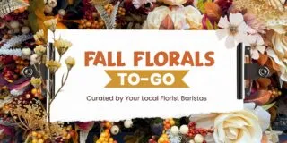 BC Bold Autumn Playlist